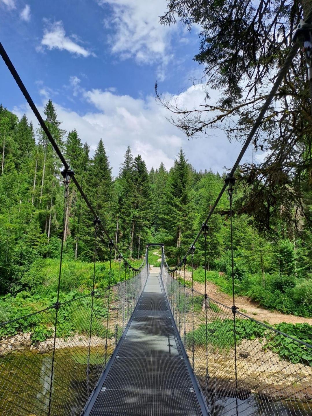 Pont-de-Poitte L'Oreline Au Coeur De La Region Des Lacs Du Jura מראה חיצוני תמונה