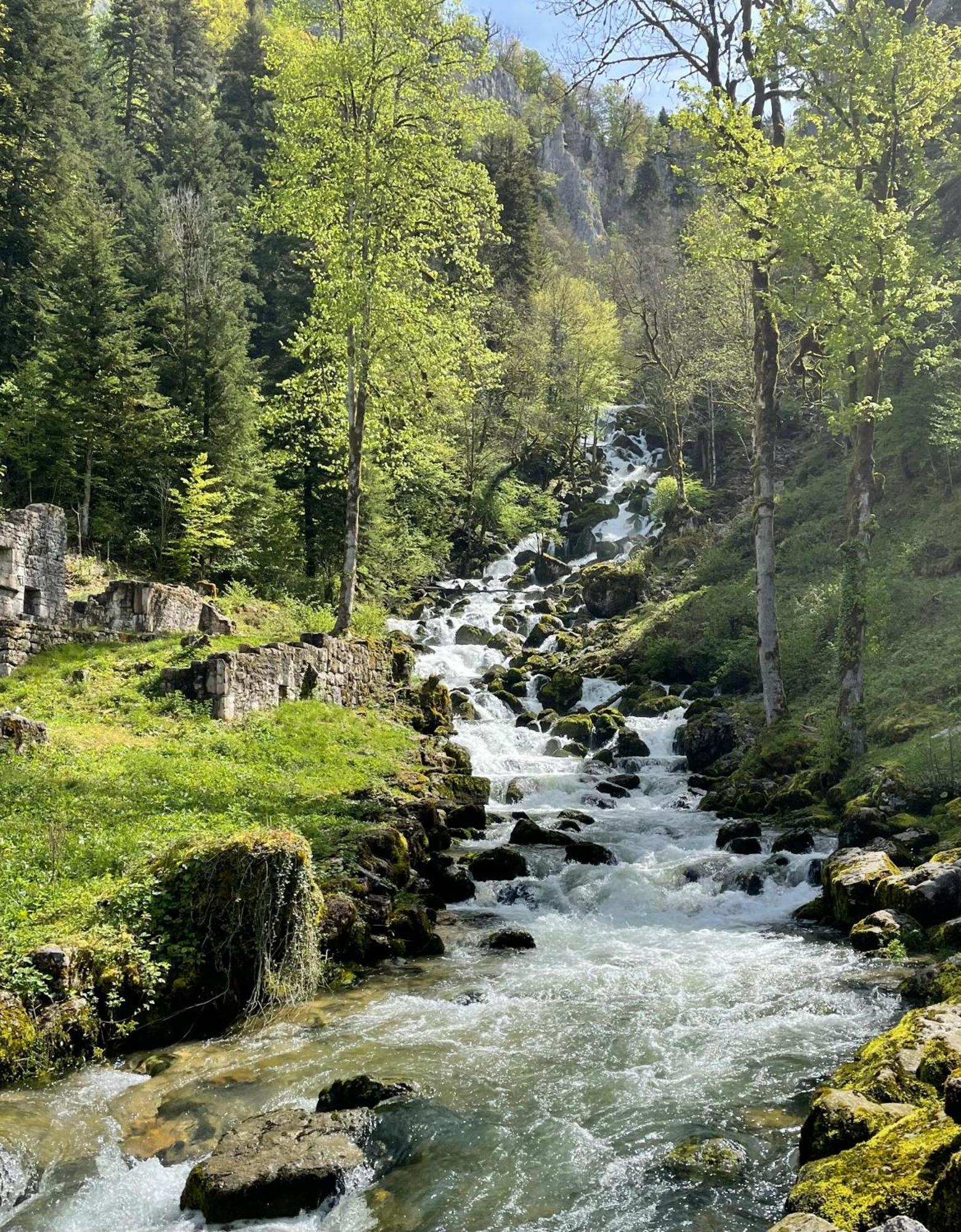 Pont-de-Poitte L'Oreline Au Coeur De La Region Des Lacs Du Jura מראה חיצוני תמונה